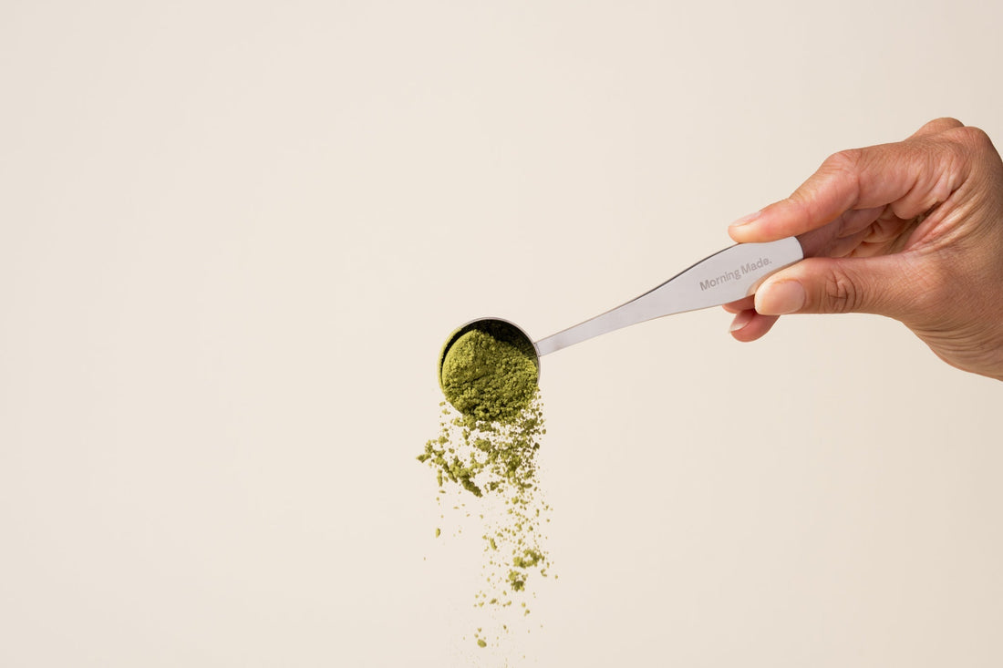 What is L-Theanine? (Why Matcha Doesn't Spike & Crash) - Morning Made