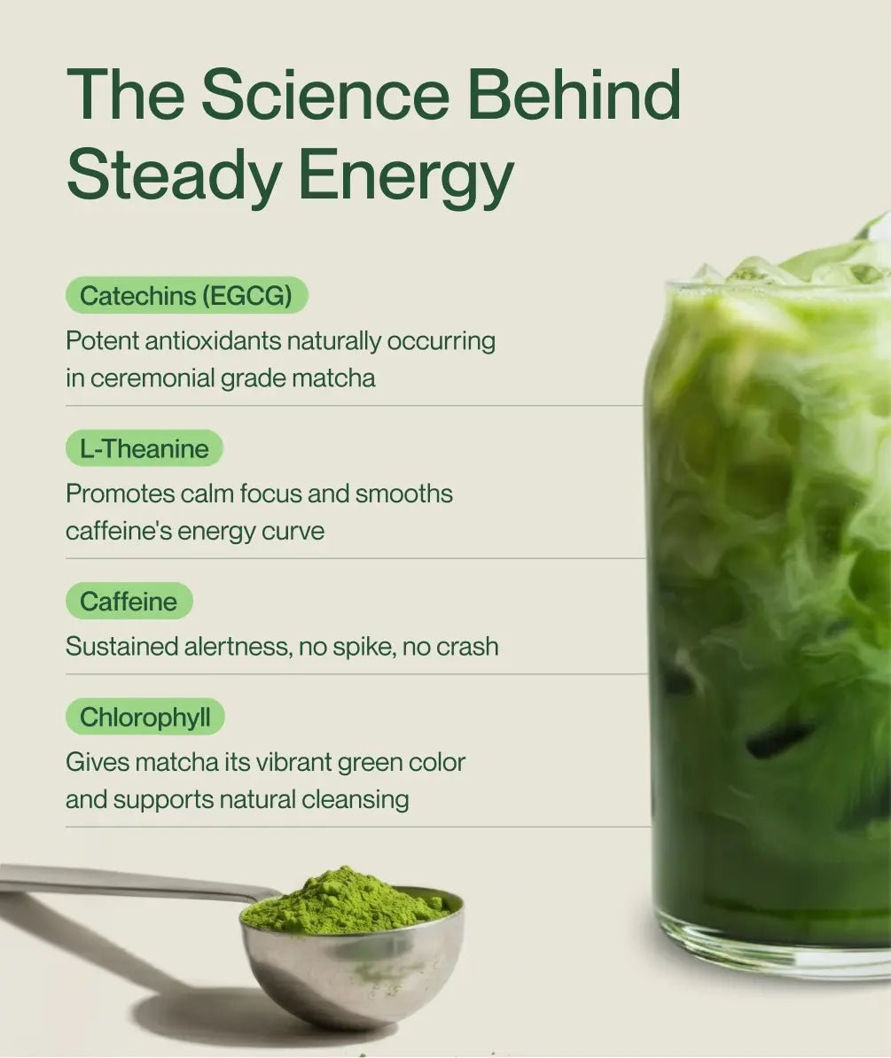 Mango Matcha Latte 3-Pack - Morning Made
